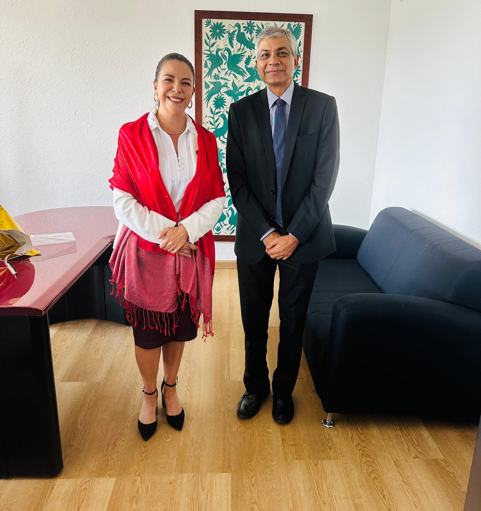Meeting with H.E. Alma de la Vega, President of the Culture & Cinematography Committee at Mexican Chamber of Deputies 02.04.2025